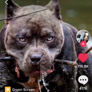 Meet your Posher, Kiara